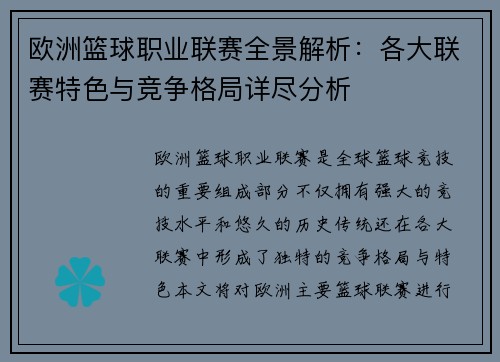 欧洲篮球职业联赛全景解析：各大联赛特色与竞争格局详尽分析