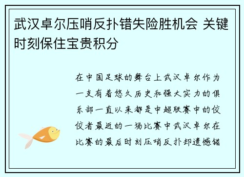 武汉卓尔压哨反扑错失险胜机会 关键时刻保住宝贵积分