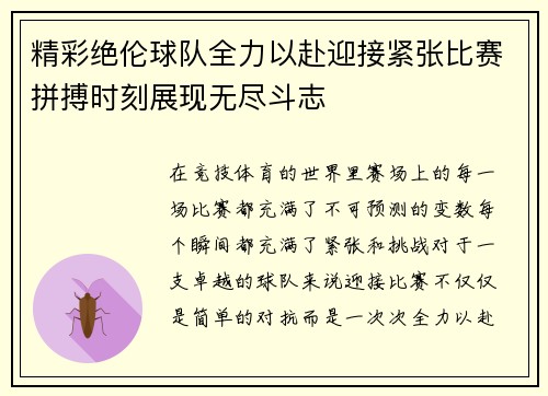 精彩绝伦球队全力以赴迎接紧张比赛拼搏时刻展现无尽斗志