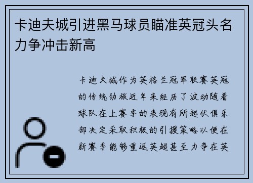 卡迪夫城引进黑马球员瞄准英冠头名力争冲击新高