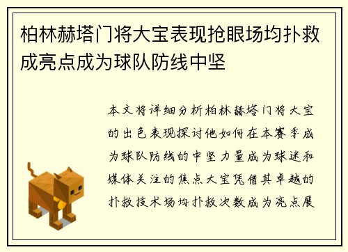 柏林赫塔门将大宝表现抢眼场均扑救成亮点成为球队防线中坚