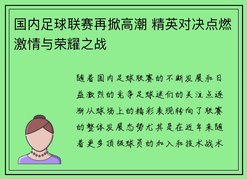 国内足球联赛再掀高潮 精英对决点燃激情与荣耀之战